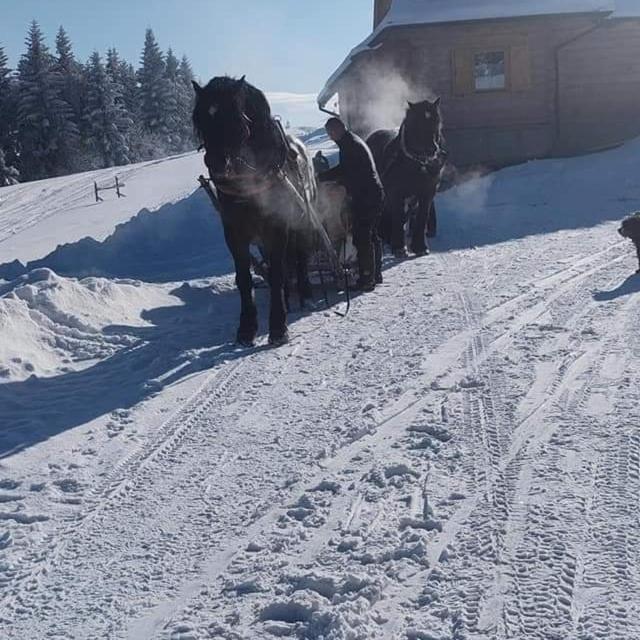 Gosciniec Dziubasowki Nowy Targ Exterior foto