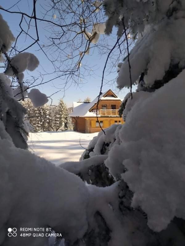 Gosciniec Dziubasowki Nowy Targ Exterior foto