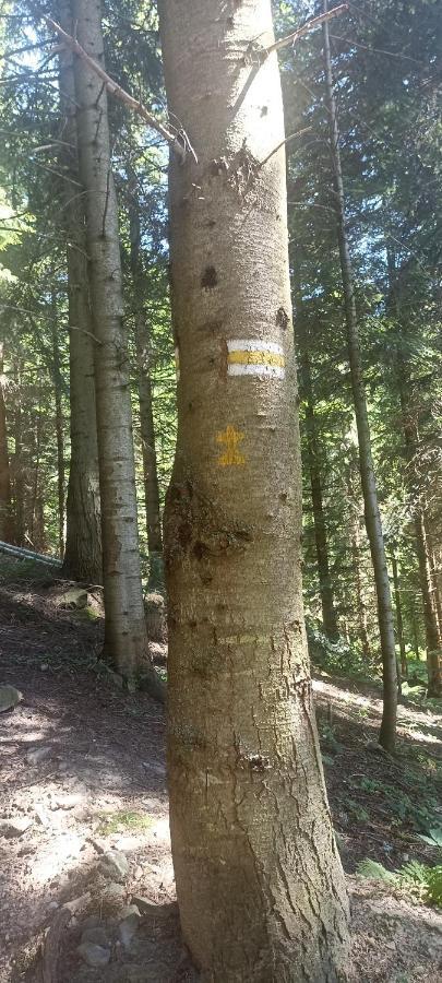 Gosciniec Dziubasowki Nowy Targ Exterior foto