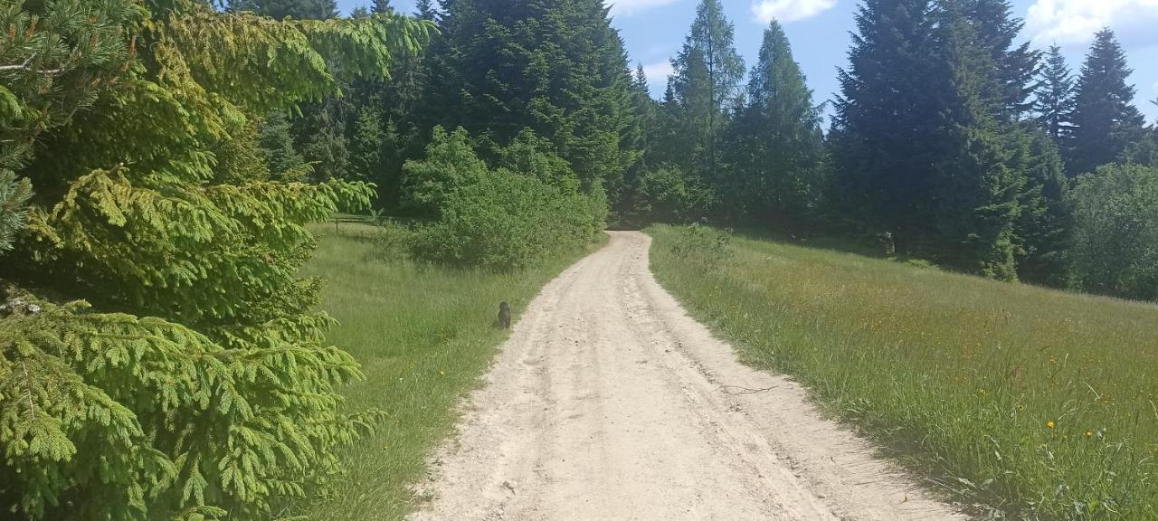 Gosciniec Dziubasowki Nowy Targ Exterior foto