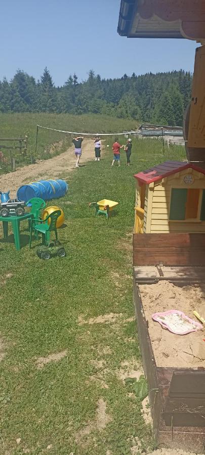 Gosciniec Dziubasowki Nowy Targ Exterior foto