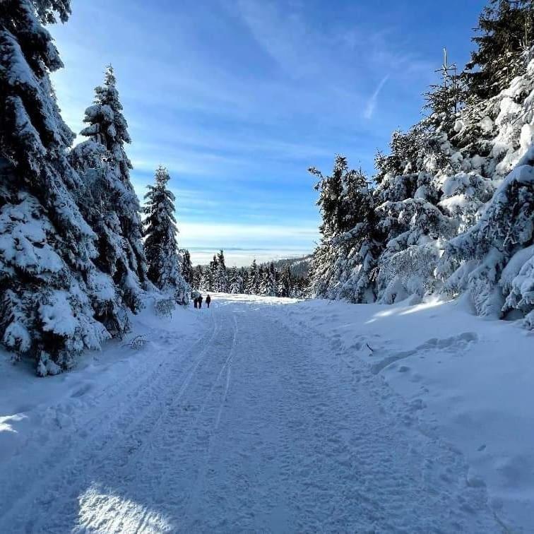 Gosciniec Dziubasowki Nowy Targ Exterior foto