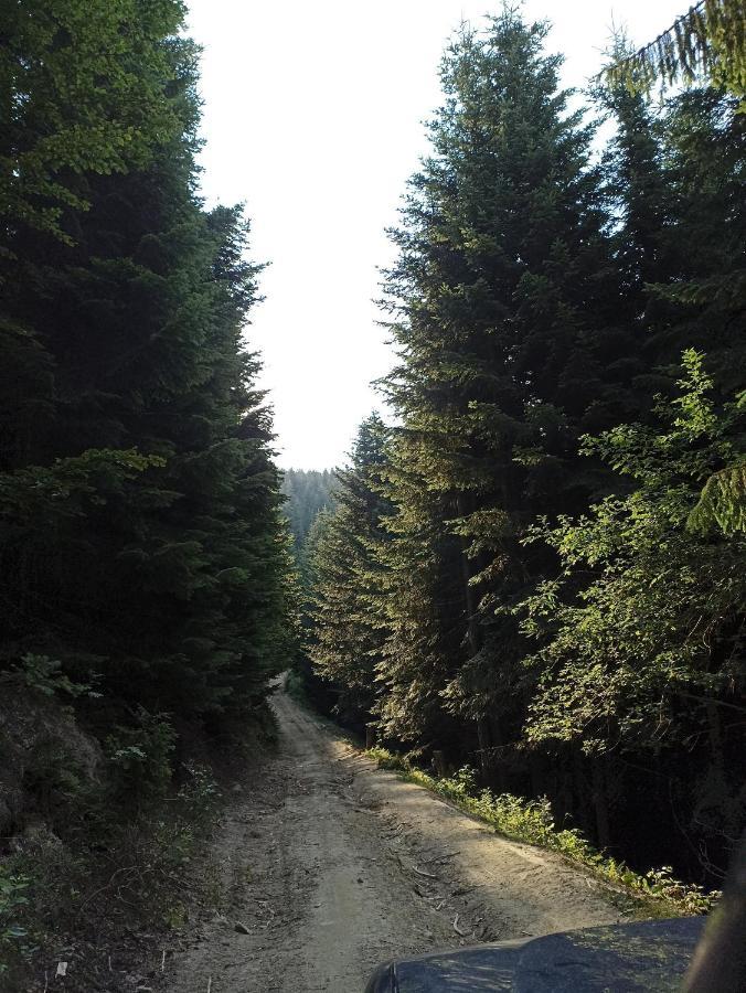 Gosciniec Dziubasowki Nowy Targ Exterior foto