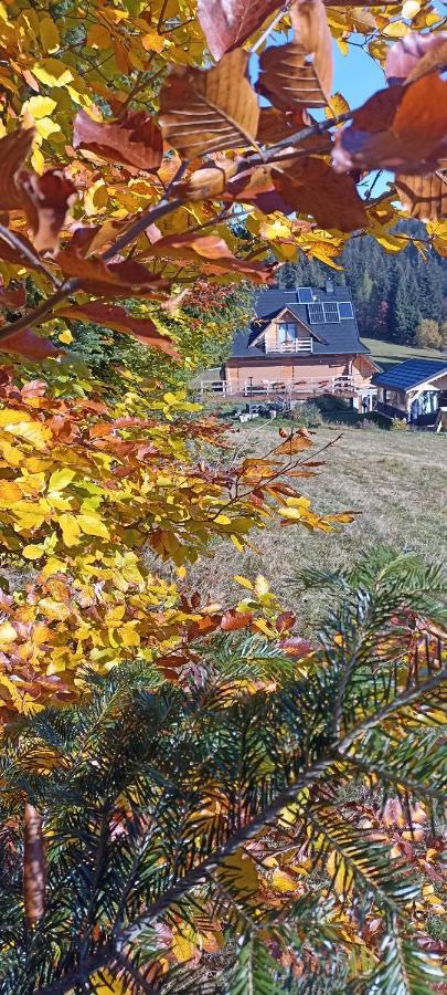 Gosciniec Dziubasowki Nowy Targ Exterior foto