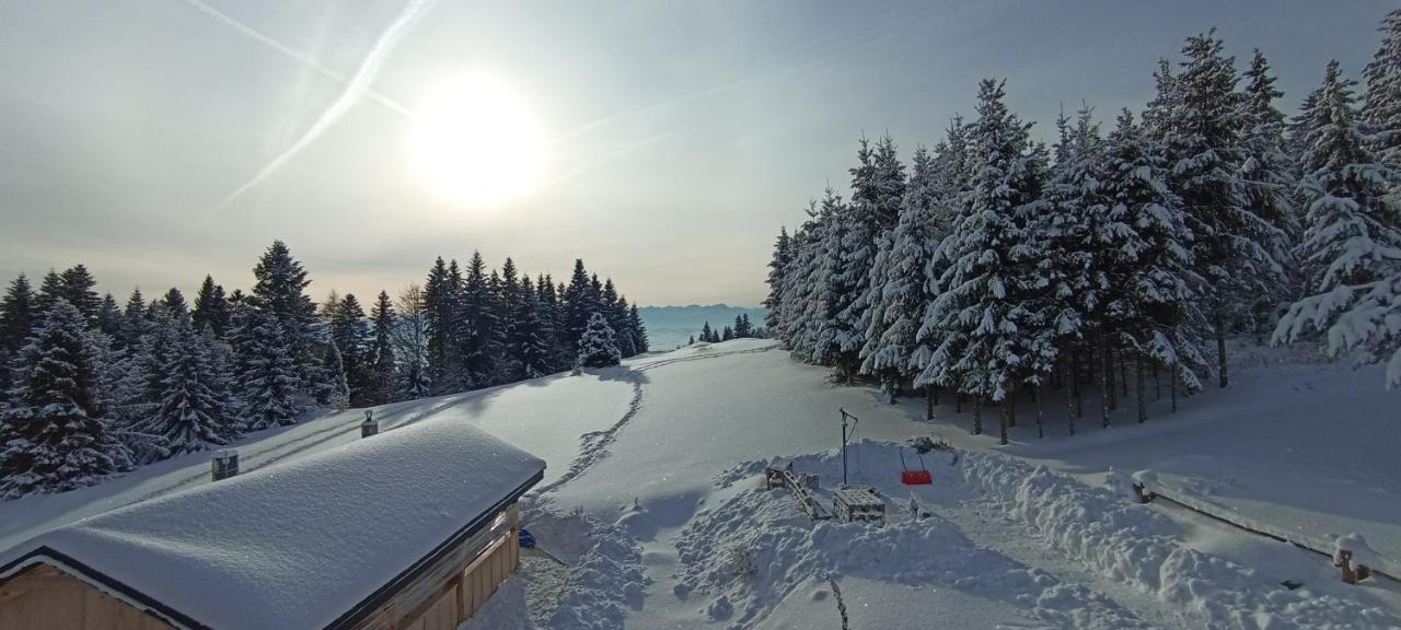 Gosciniec Dziubasowki Nowy Targ Exterior foto