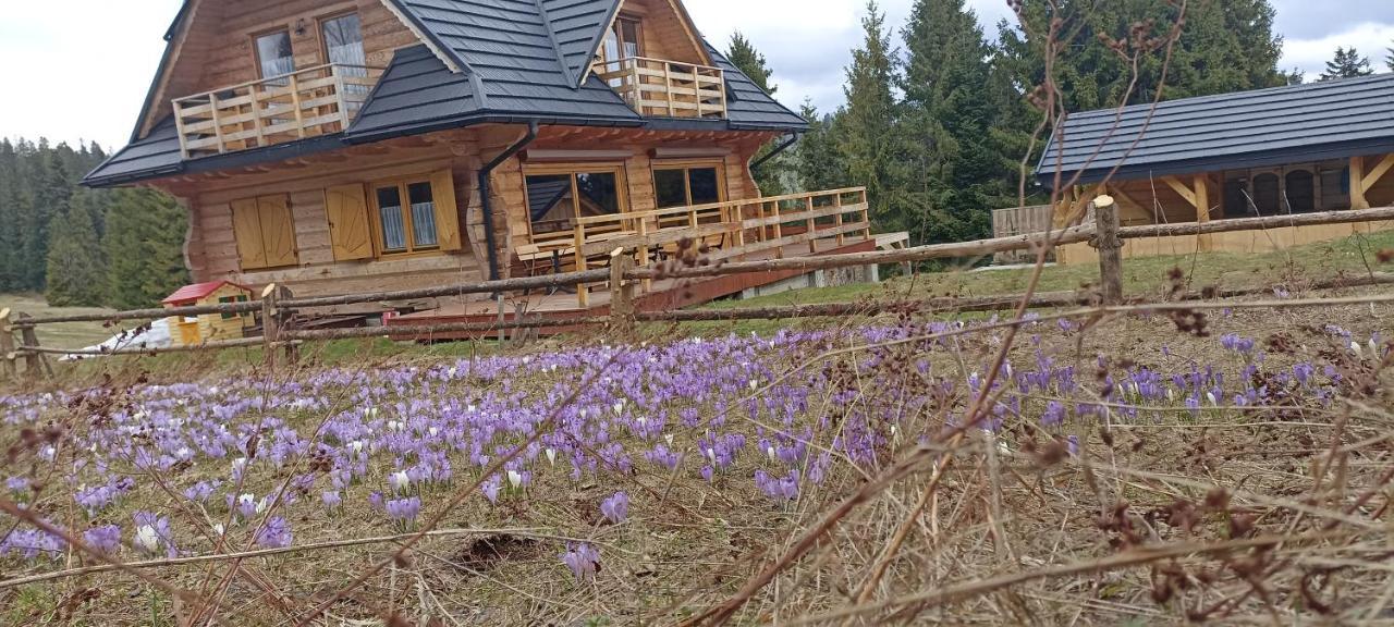 Gosciniec Dziubasowki Nowy Targ Exterior foto
