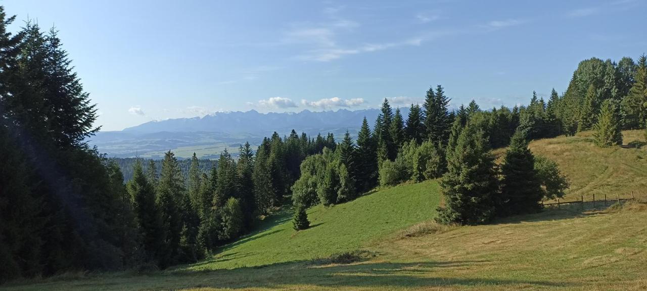 Gosciniec Dziubasowki Nowy Targ Exterior foto
